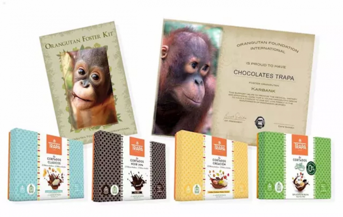 Chocolates Trapa apadrina orangutanes en Borneo en la celebración del 50 aniversario del primer bombón